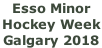 Esso Minor  Hockey Week  Galgary 2018