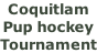 Coquitlam Pup hockey  Tournament